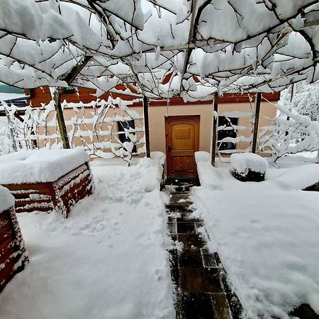 Vineyard Cottage Matej Trebnje Extérieur photo