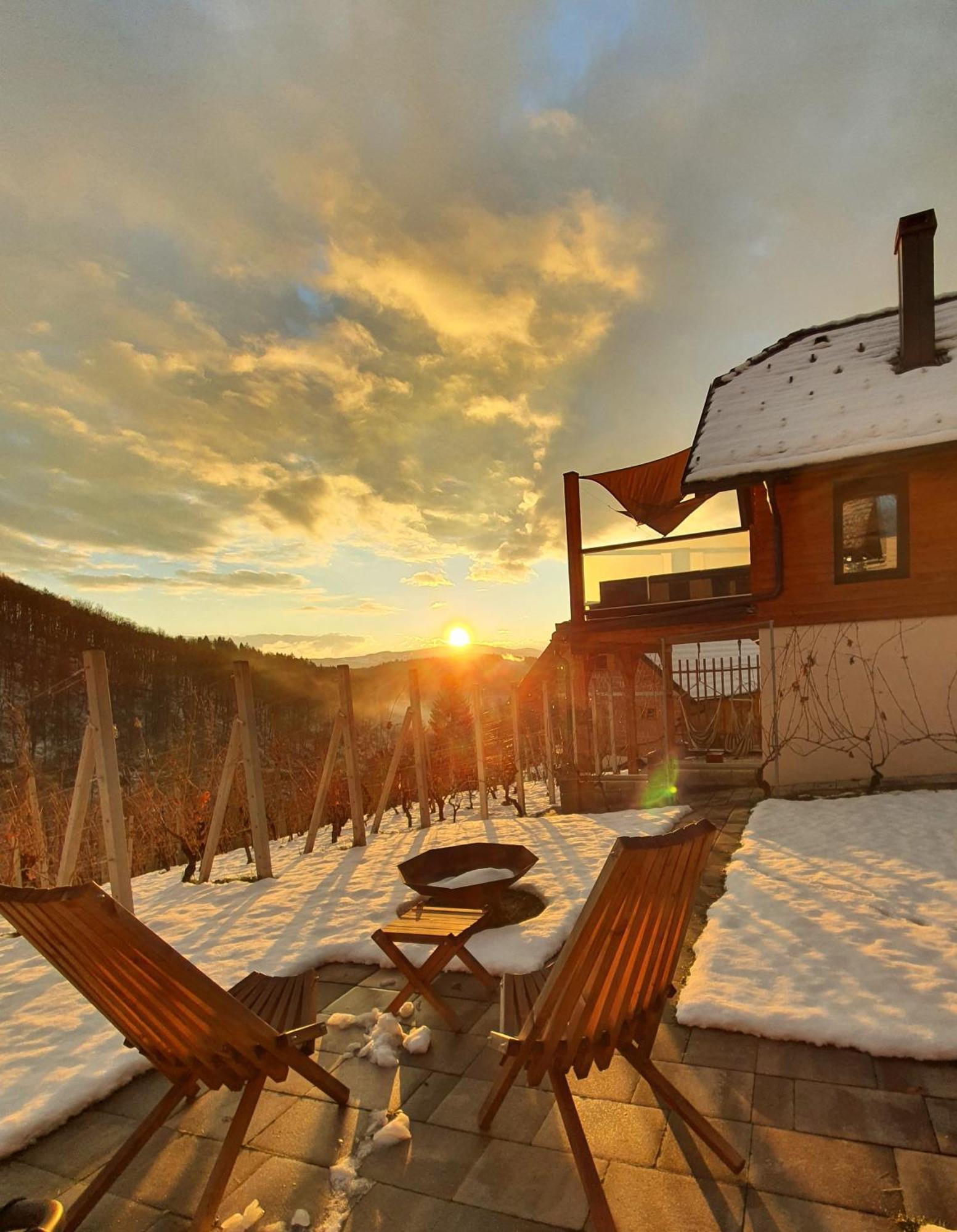 Vineyard Cottage Matej Trebnje Extérieur photo