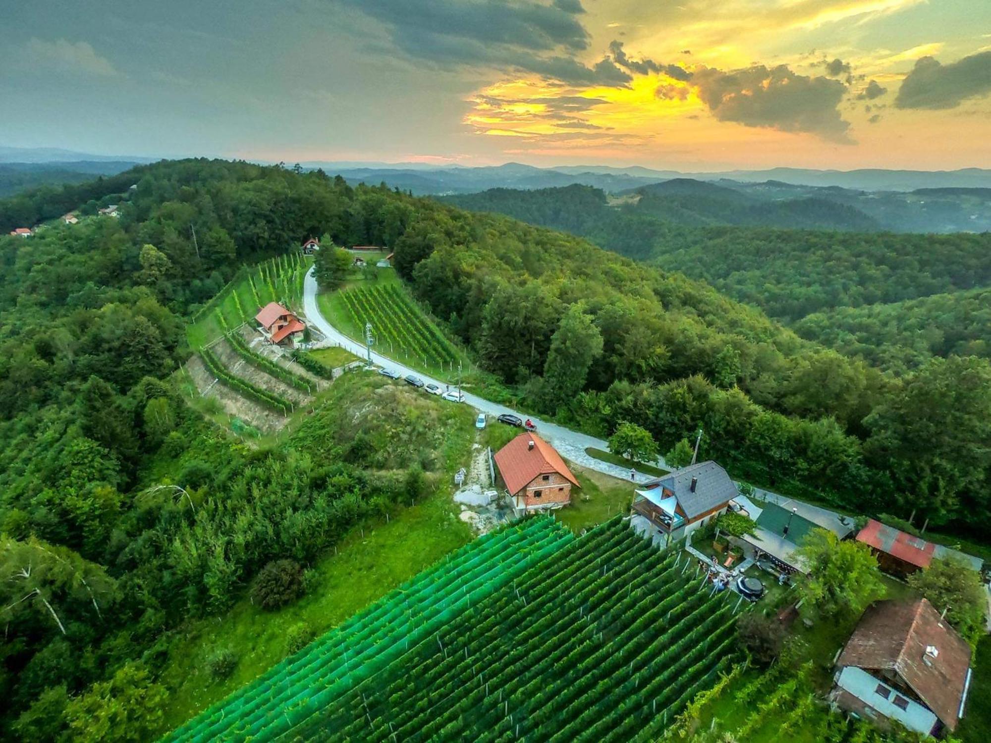 Vineyard Cottage Matej Trebnje Extérieur photo