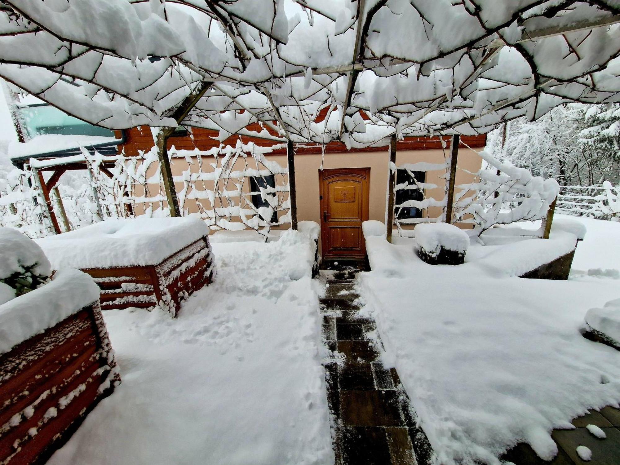 Vineyard Cottage Matej Trebnje Extérieur photo