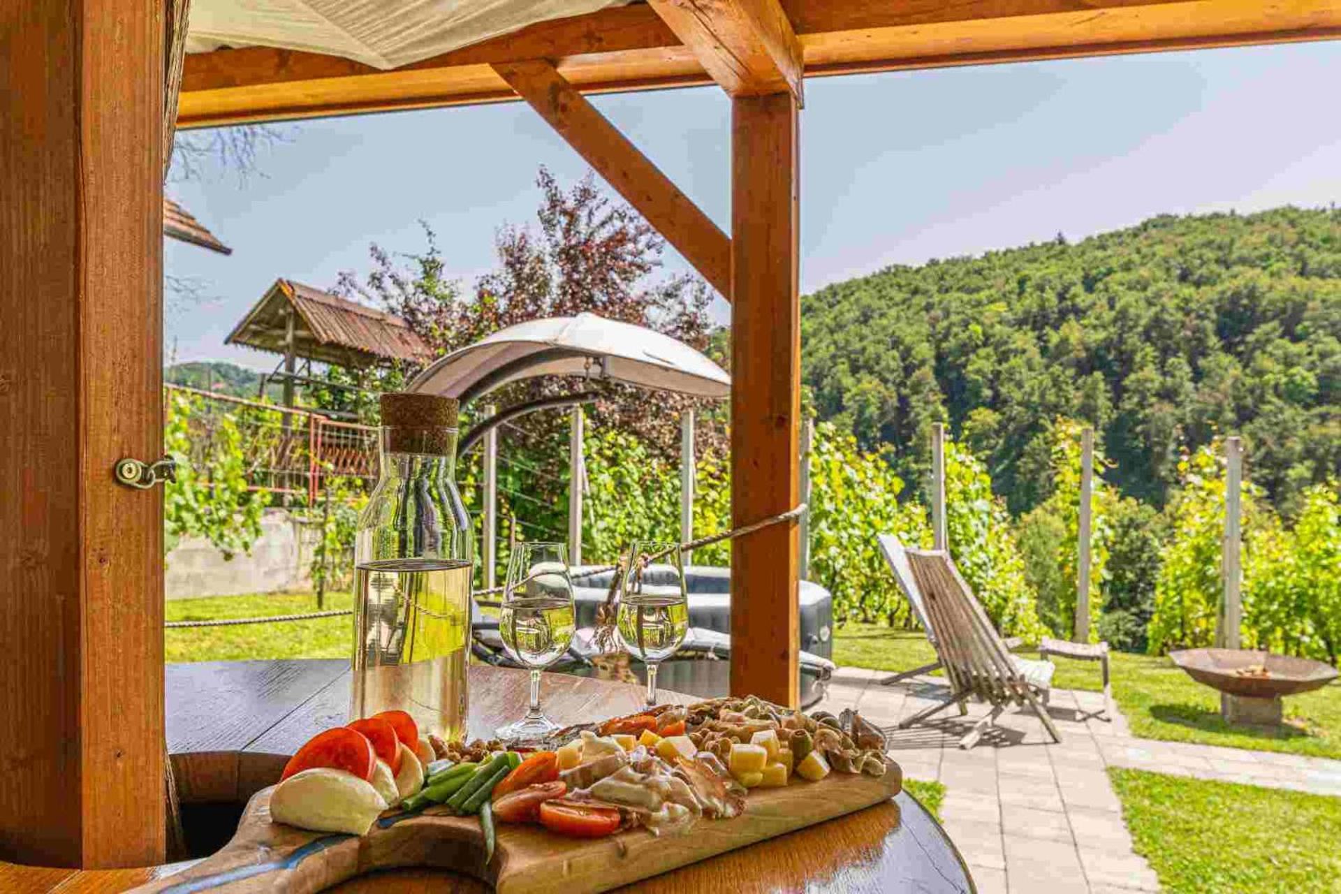 Vineyard Cottage Matej Trebnje Extérieur photo