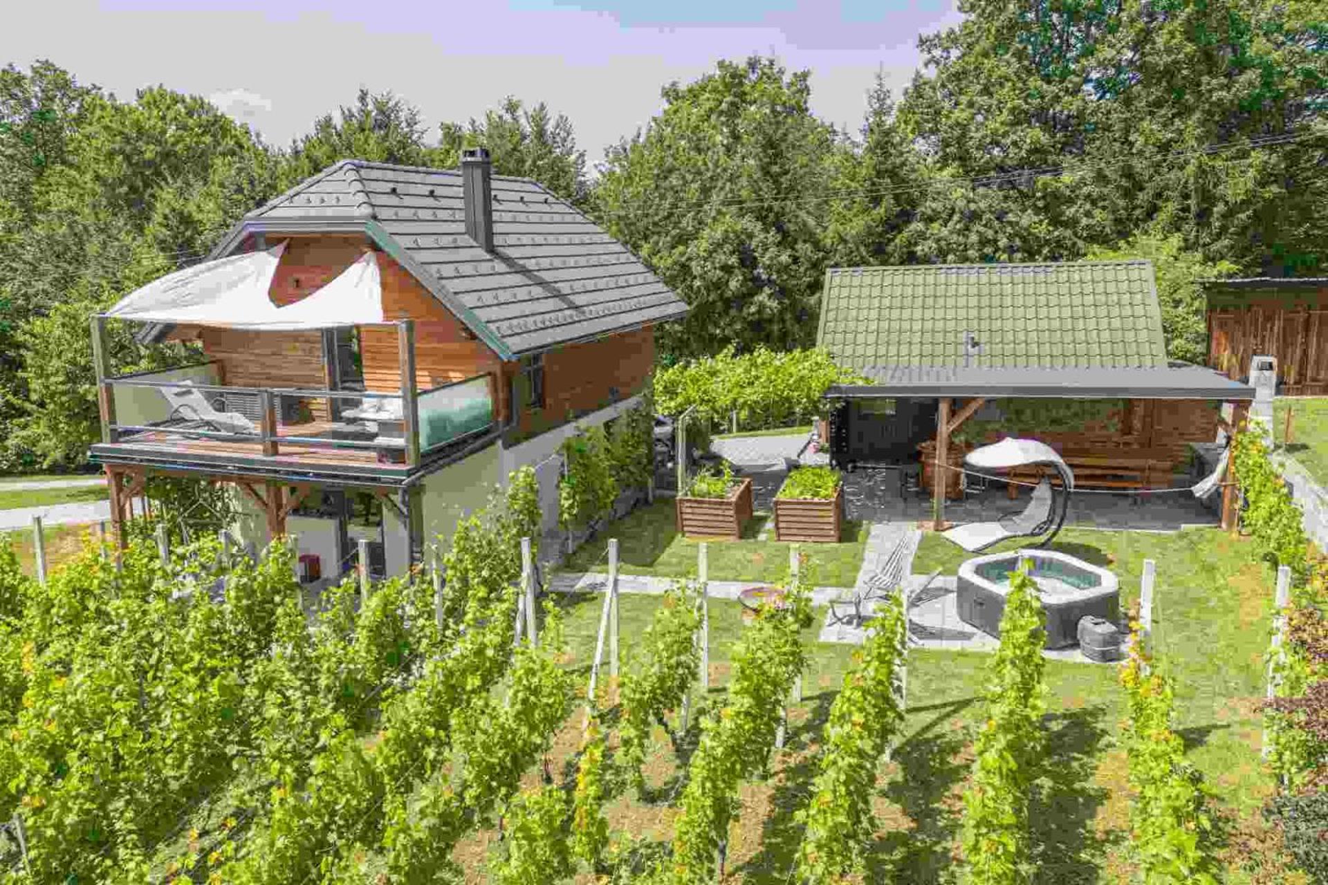 Vineyard Cottage Matej Trebnje Extérieur photo